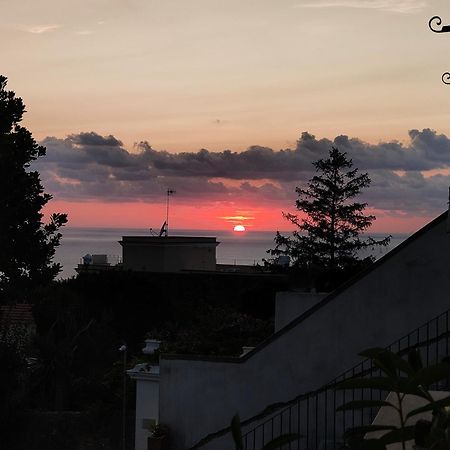 Ipazia Capri Bed & Breakfast Anacapri  Eksteriør bilde
